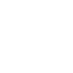 Flags For Veterans White Logo